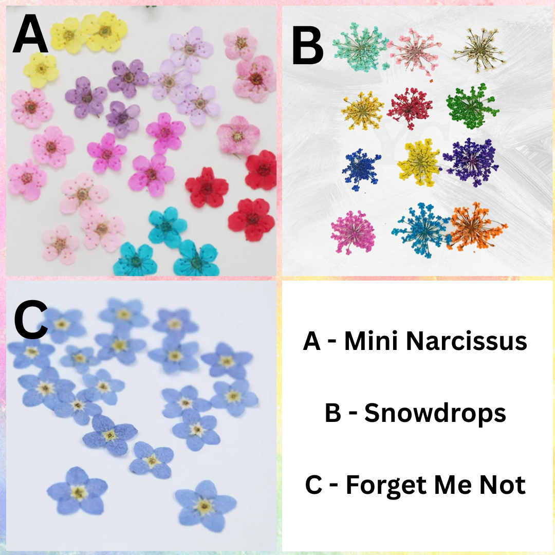 Pressed Flowers Adjustable Bracelets