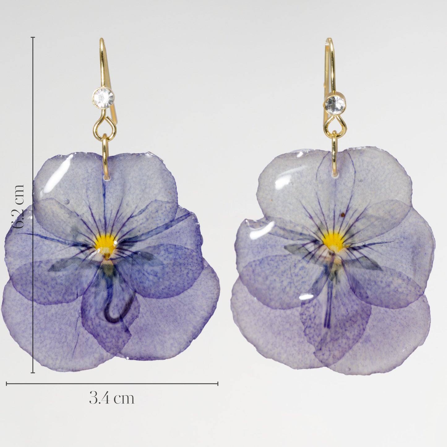 Pansy
