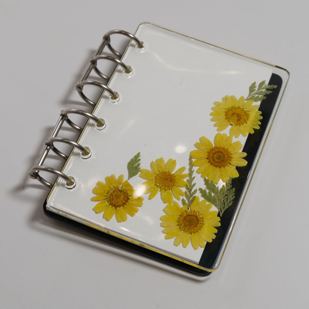 Notebook F