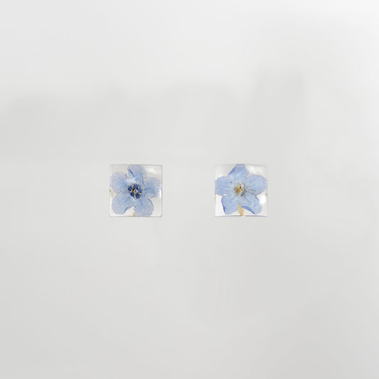 Forget Me Not Studs