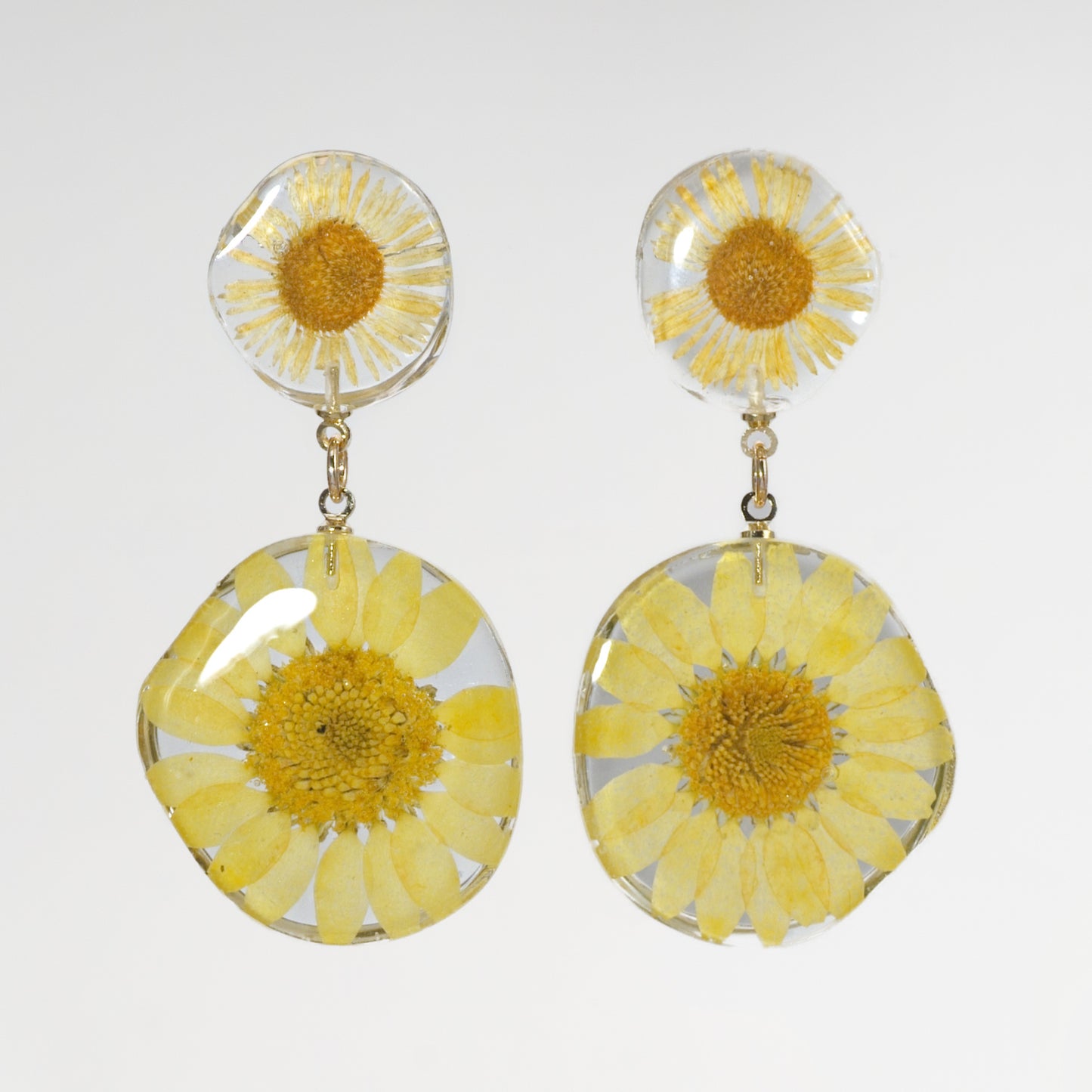 Petals in Yellow