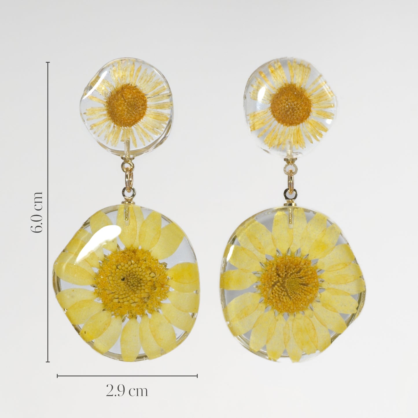 Petals in Yellow