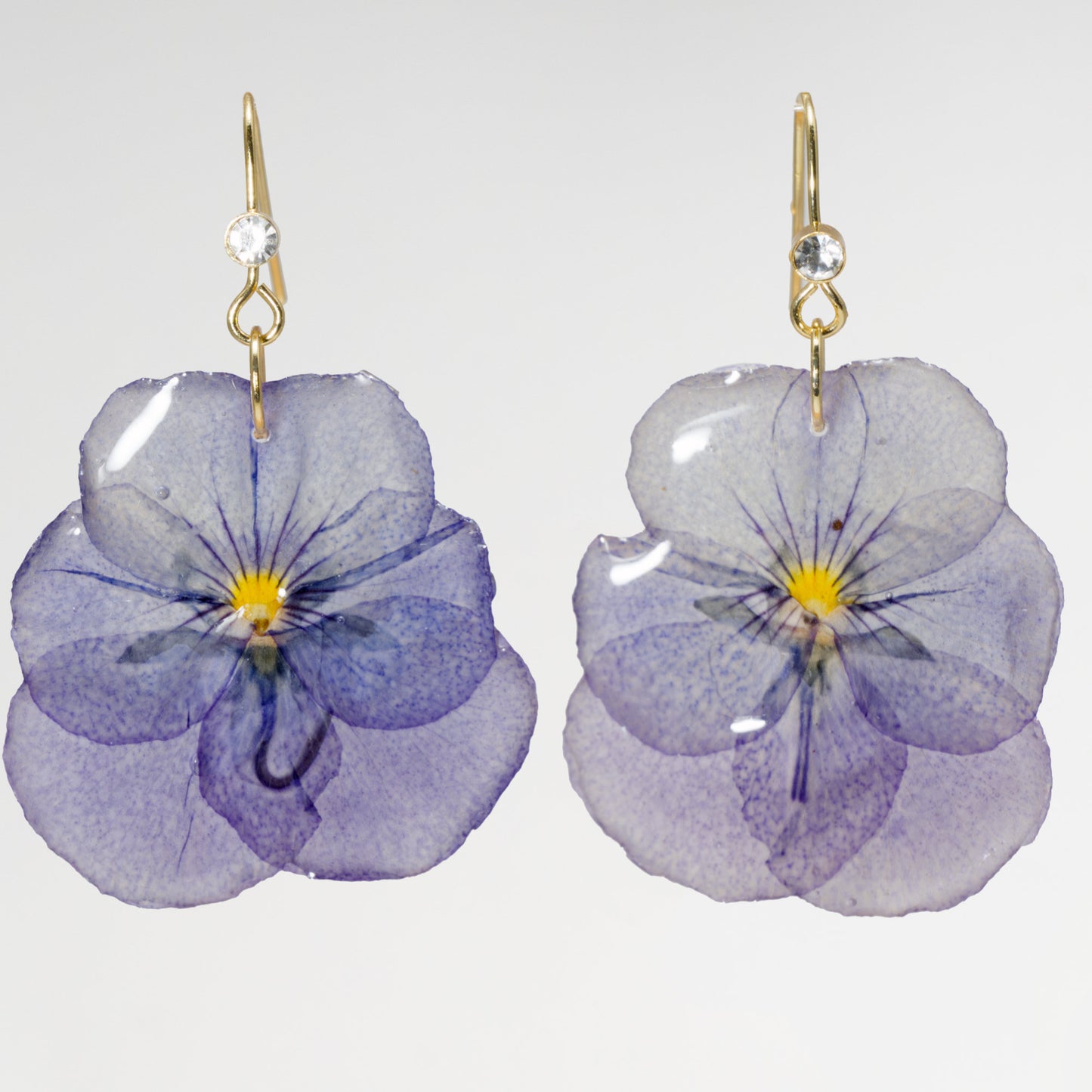 Pansy