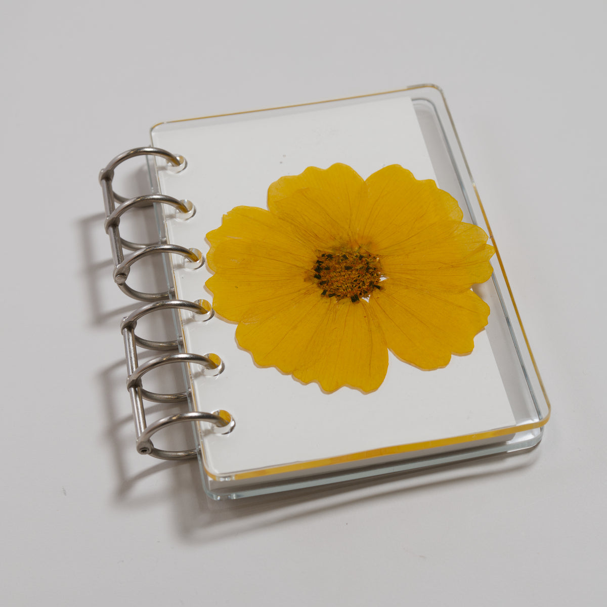 Notebook D
