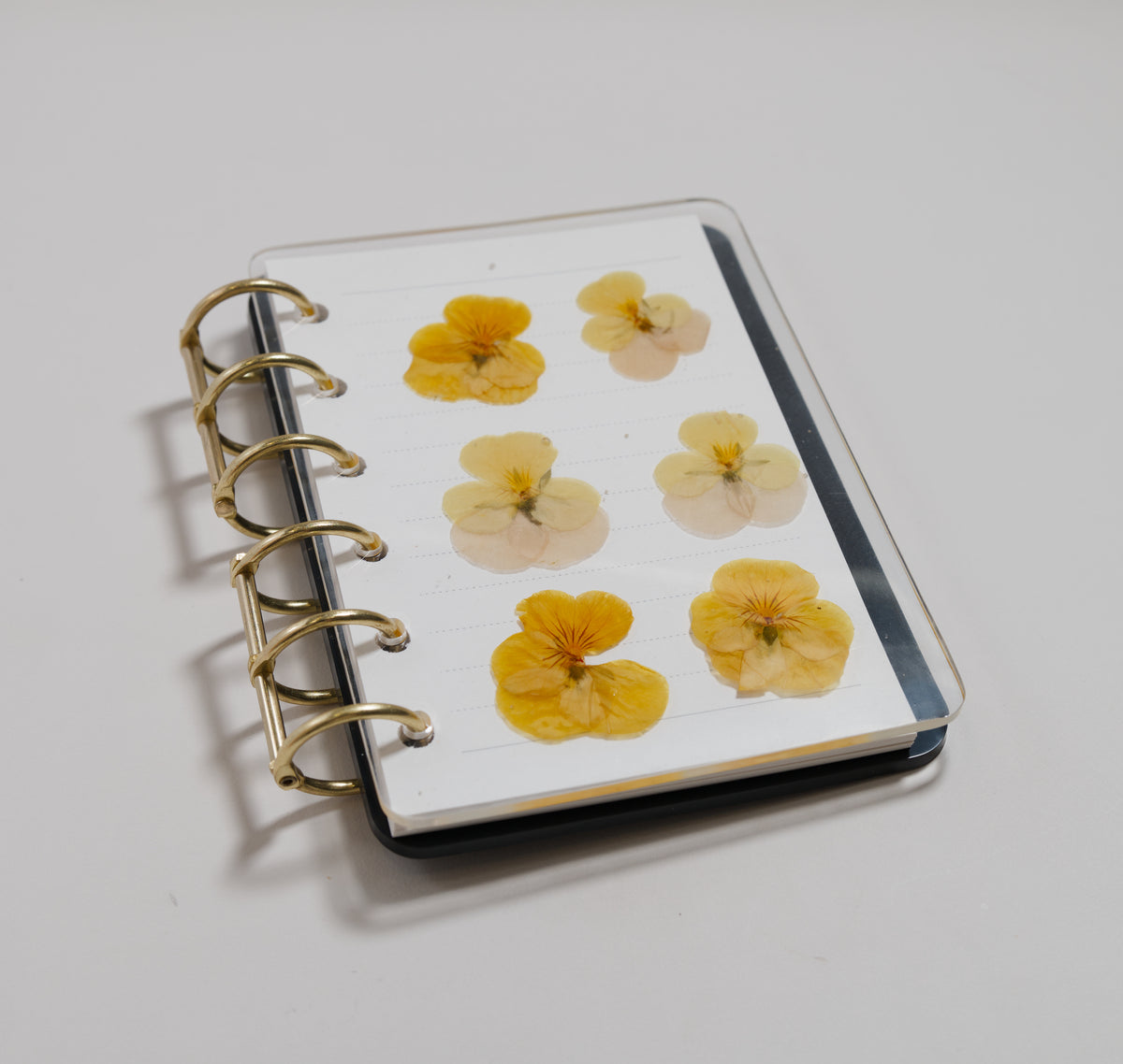 Notebook N