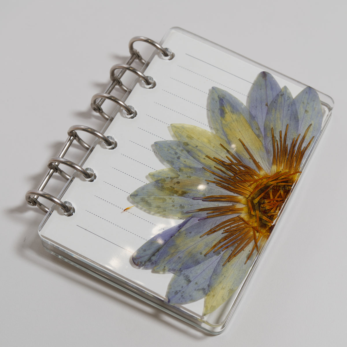 Notebook M