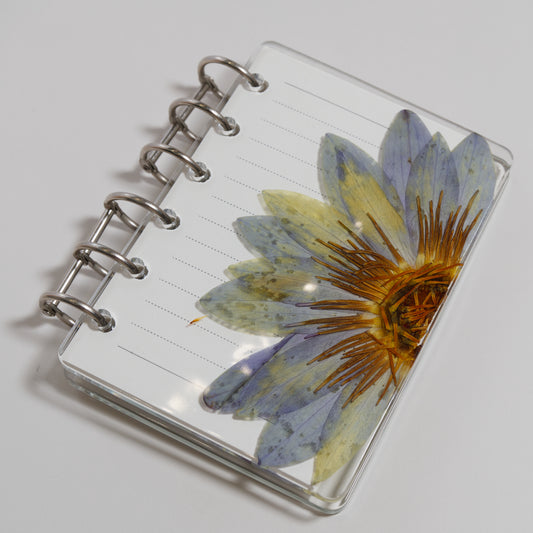 Notebook M