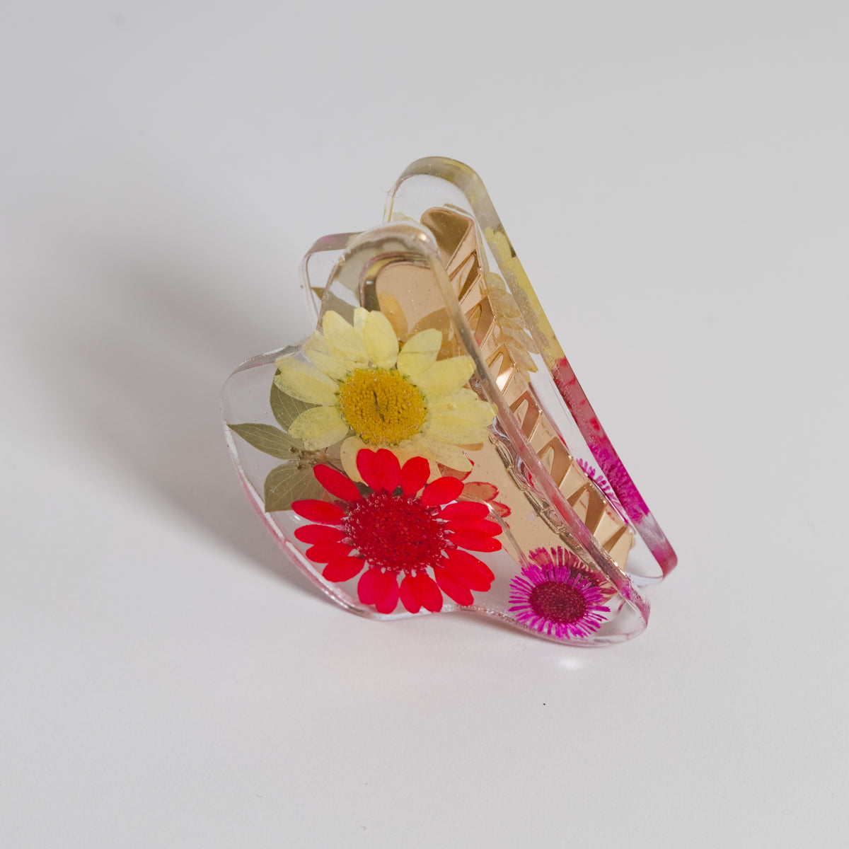 Claw Clip I