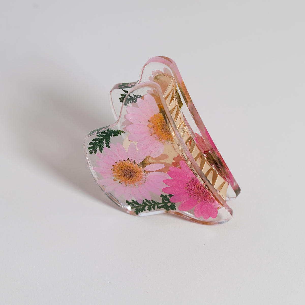 Claw Clip C